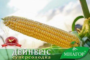 Солодка кукурудза Дейнеріс F1 a000706 фото