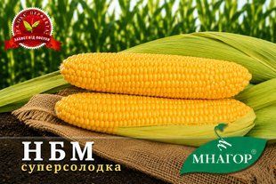 Цукрова кукурудза НБМ 2020 F1 a000720 фото
