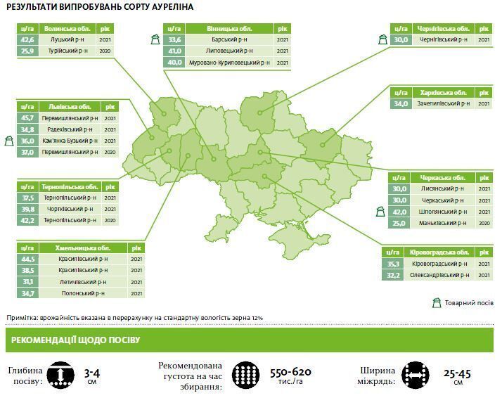 Ауреліна /000/ 2400 CHU aurelina 01 фото