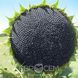 ПEГАС (NS 6341) sfe006 фото 1