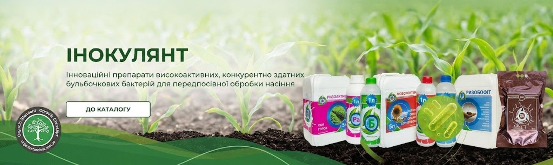 Banner from design