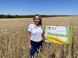 Пшениця озима Макаровка list0008 фото
