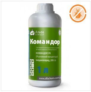 Командор a002001 фото