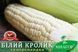 Цукрова кукурудза Білий Кролик F1, біле зерно a000676 фото 1