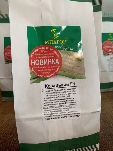 Козацький F1, білозерний гібрид для крупи та борошна kozatskiy_80 фото