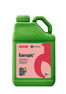 Кантаріс kantaris_1 фото