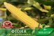 Цукрова кукурудза Фіона F 1 a000685 фото 1