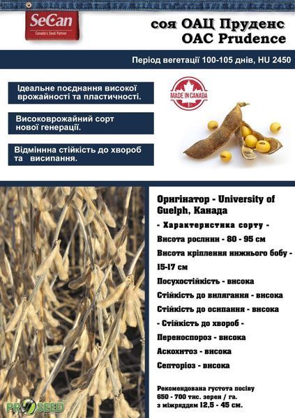 Соя посівна ОАЦ Пруденс (Prudence) sd016 фото
