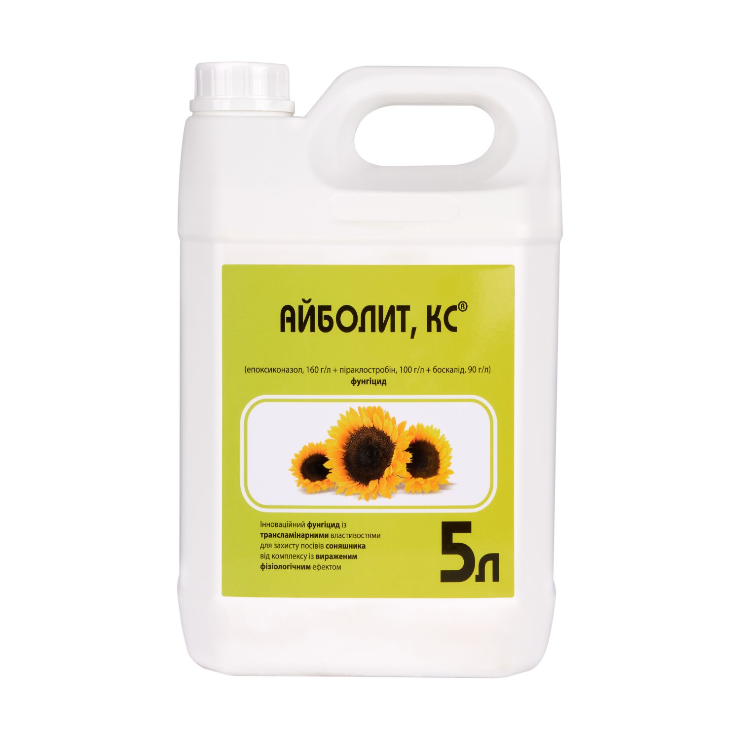 Жыныс мүшесін сипау порно Семіз әйелдердің үйдегі эротикалық видеосы