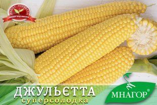 Суперсолодка кукурудза Джульєтта F1 dzhulietta-06-100000 фото