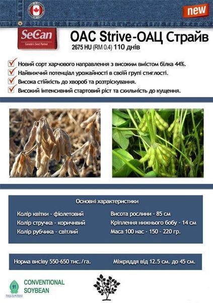 Соя посівна ОАЦ Страйв (Strive) st016 фото