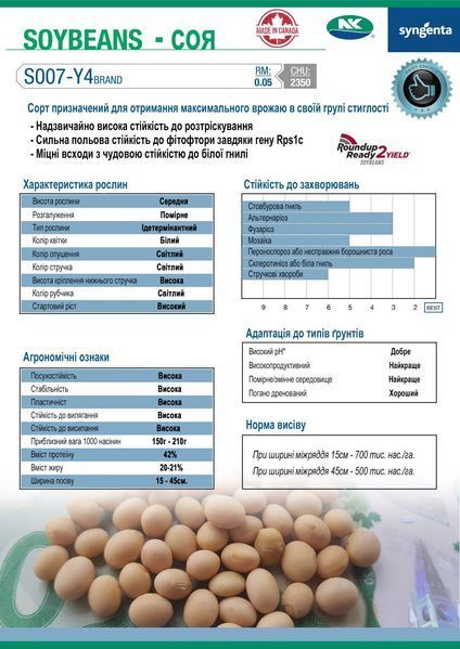 Соя S007-Y4 ns_soya19 фото