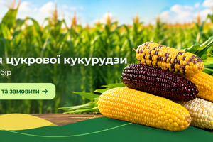 Пробний набір на 10% дешевше, ніж всі його складові окремо фото