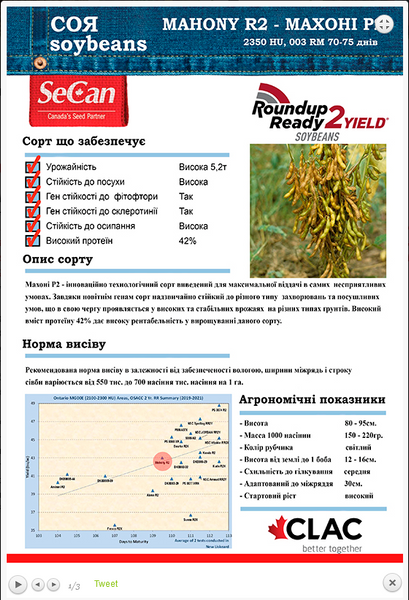 Махоні - Р2 maxoni-r2_01 фото