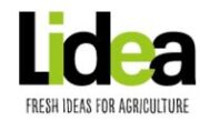 Lidea