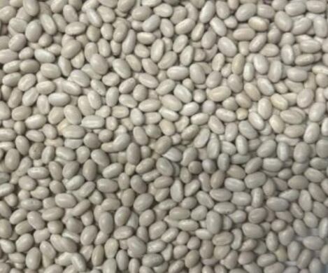 Наутіка, 1 репродукция, 2025, да