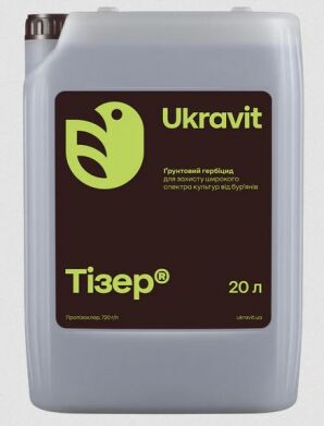 Тизер, 20 л
