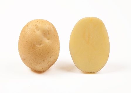 Картофель Орла (Голландия), ультраранний, в сетке 20 кг
