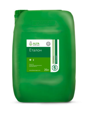 Эталон, 20 л