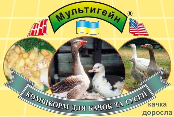 Для дорослих качок, 2кг, ПК 20-2, 2 кг, Качка