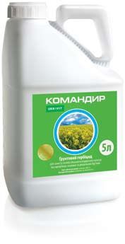 Командир, 5 л