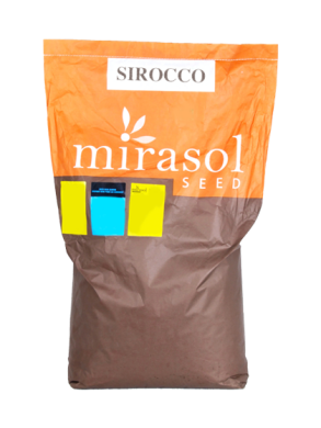 Гибрид подсолнечника Сирокко OR 7, Классический, Среднеранний, 108, Mirasol Seed, Mirasol Seed, Іспанія, A, B, C, D, E, F, G, да