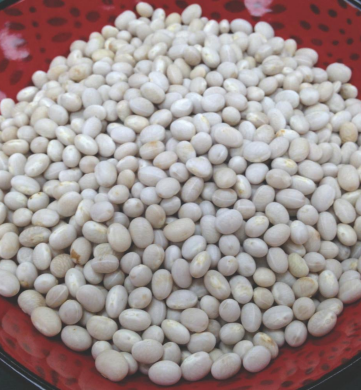 SV1893GH, 1 репродукция, 2025