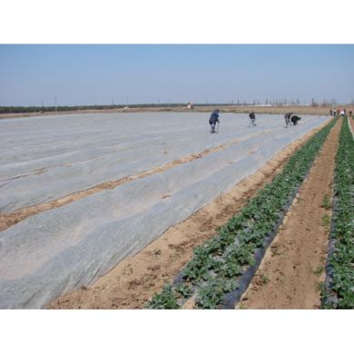 Агроволокно покривне в рулоні, щільність 23, 15,8&times;100