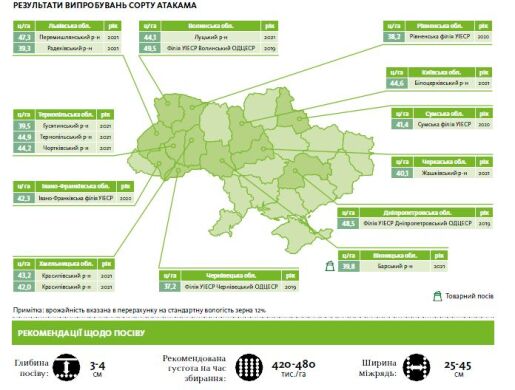 Атакама /00/ 2625 CHU, Среднеспелый, 110-115, Классический, 1 репродукция