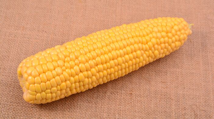 Суперсолодка кукурудза Айова F1, 1 000 насінин (1,8 сотки), Жовтий, Супер цукрова Sh2, Україна, Середньостиглий, 76-80 днів, Цукрова кукурудза