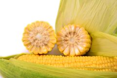 Суперсолодка кукурудза Айова F1, 1 000 насінин (1,5 сотки), Жовтий, Супер цукрова Sh2, Україна, Середньостиглий, 76-80 днів, Цукрова кукурудза