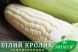 Сладкая кукуруза Bio Белый Кролик F 1, молочно белое зерно, 200 семян на 36 м², Белое, Супер сладкая Sh2, Украина, Свежий рынок, Раннеспелый, Сахарная кукуруза, 71-75