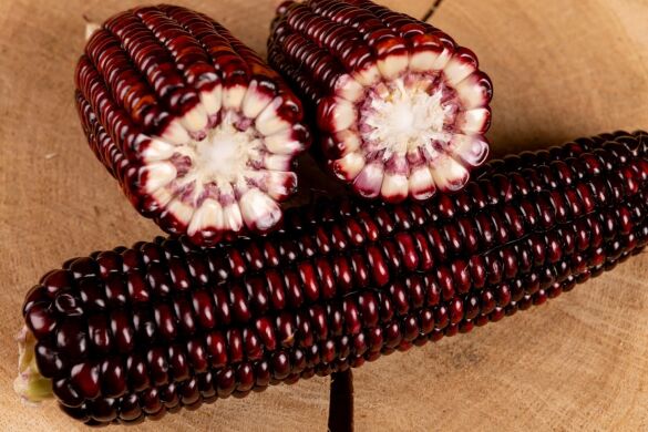 Бордо (фіолетово-червона) F1, 50 насінин на 9 м², Пурпуровий, Супер цукрова Sh2, Україна, Консервація, Свіжий ринок, Середньостиглий, Цукрова кукурудза, Кукурудза цукрова