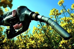 По­тенційні мож­ли­вості Ук­раїни у на­ро­щу­ванні ви­роб­ництва біоди­зе­ля 