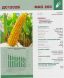 Гибрид кукурузы ДС1202Б, 260