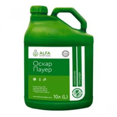 ОСКАР ПАУЕР, 10 л