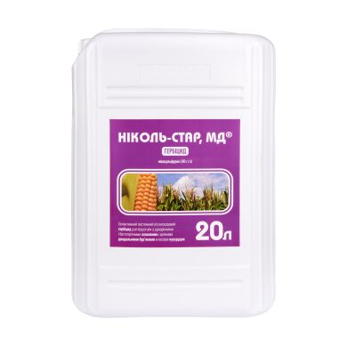 Ніколь-Стар, МД, 20 л