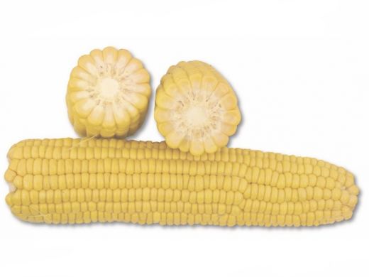 Сахарная кукуруза 1708 F1, 2 500 семян, Желтый, Супер сладкая Sh2, США, Свежий рынок, Среднеспелый, Сахарная кукуруза, 76-80