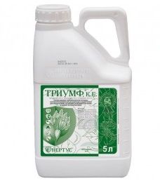 Триумф, 5 л
