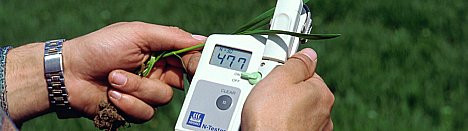 Ручной датчик азота по листу N-tester YARA, Япония, Япония, Датчик азота