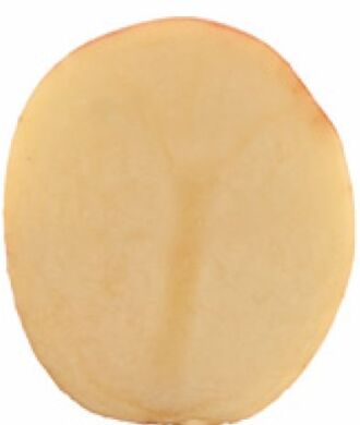 Насіннєва картопля Кара, 25 кг, Еліта