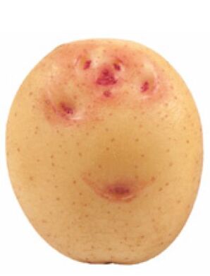 Насіннєва картопля Кара, 25 кг, Еліта