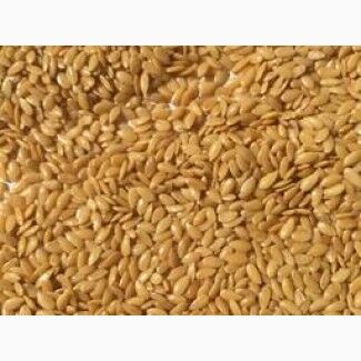 Льон золотистий (жовтий), сорт Голдберг, 1 репродукція, да