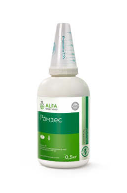 Рамзес, 0.5 кг