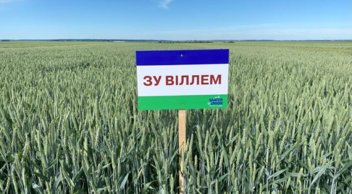 ЗУ Віллем, 1 тонна, биг-бег, 1 репродукция