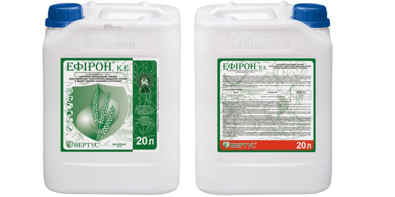 Ефірон, 20 л