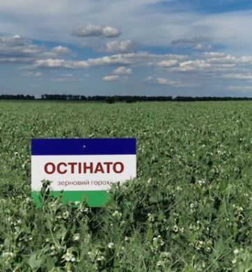 ОСТІНАТО