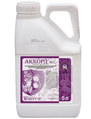 Аккорд, 5 л