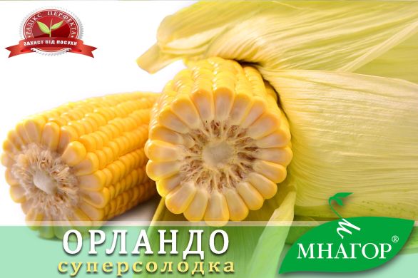 Сахарная кукуруза Орландо F1 -  суперсладкая Sh2, 100 000 семян (1,8 га), Желтый, Супер сладкая Sh2, Украина, Консервирование, Свежий рынок, Среднеспелый, 76-80 дней, Сахарная кукуруза