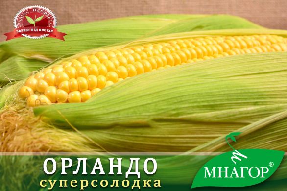 Сахарная кукуруза Орландо F1 -  суперсладкая Sh2, 100 000 семян (1,8 га), Желтый, Супер сладкая Sh2, Украина, Консервирование, Свежий рынок, Среднеспелый, 76-80 дней, Сахарная кукуруза